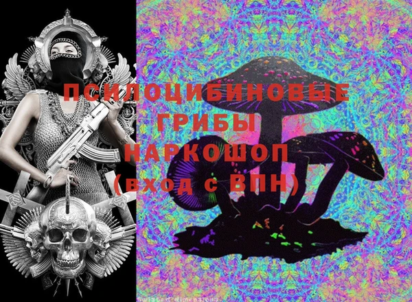 гашик Балабаново