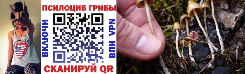 Галлюциногенные грибы GOLDEN TEACHER  Верхняя Тура 