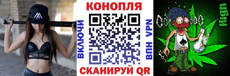 Канабис сатива  как найти наркотики  Верхняя Тура 